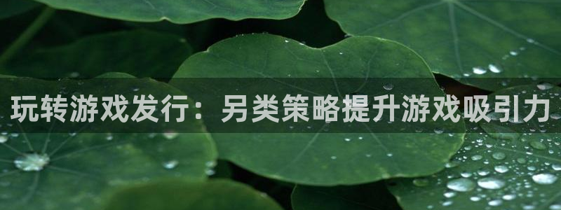 天辰用户注册流程：玩转游戏发行：另类策略提升游戏吸引力