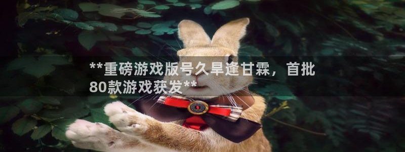 天辰娱乐厅破解规律透视辅助：**重磅游戏版号久旱逢甘霖，首批
80款游戏获发**