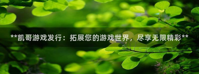 天辰娱乐提现：**凯哥游戏发行：拓展您的游戏世界，尽享无限精彩**