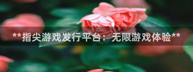 天辰网站
