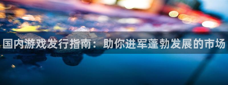 天辰平台测速登录不上：国内游戏发行指南：助你进军蓬勃发展的市场