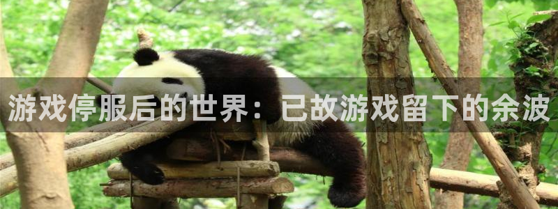 天晨测绘有限公司