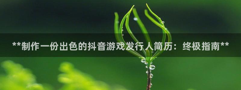 天辰会员注册链接怎么弄：**制作一份出色的抖音游戏发行人简历：终极指南**