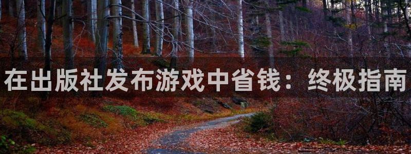 天辰娱乐的老板是谁啊：在出版社发布游戏中省钱：终极指南