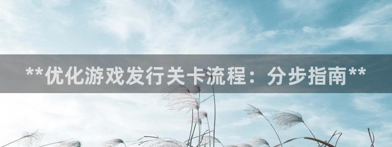 天辰注册链接是什么：**优化游戏发行关卡流程：分步指南**