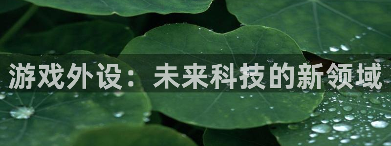 天辰平台会员多少钱