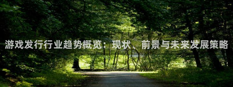 天辰平台测速登录失败怎么回事：游戏发行行业趋势概览：现状、前景与未来发展策略