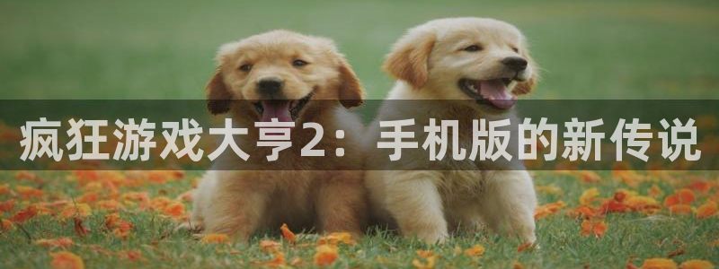 天辰平台登录注册失败：疯狂游戏大亨2：手机版的新传说