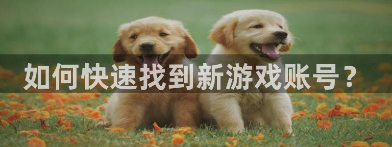 天辰平台网址：如何快速找到新游戏账号？